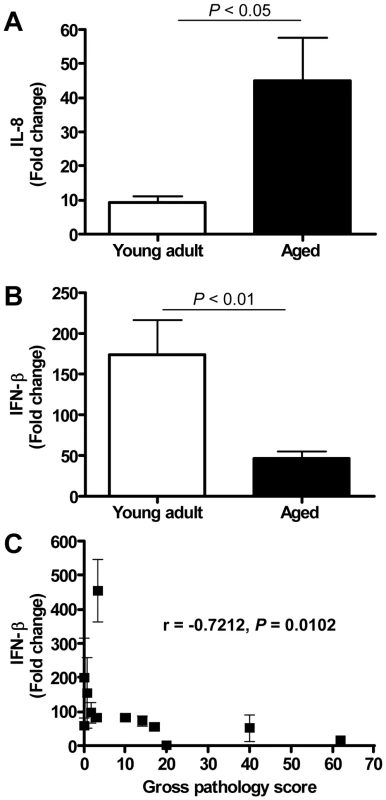 Quantitative RT-PCR confirmation of IFN-β mRNA levels.