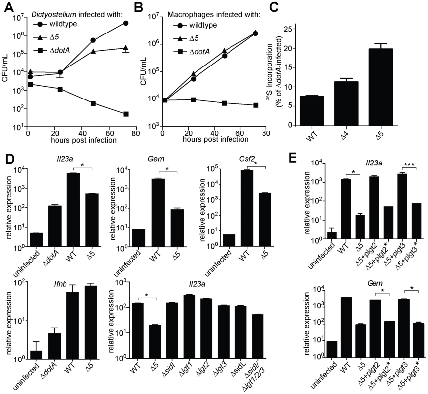 A mutant <i>L. pneumophila</i> lacking 5 bacterial effectors that inhibit host protein synthesis is defective in induction of the host ‘effector-triggered response’.