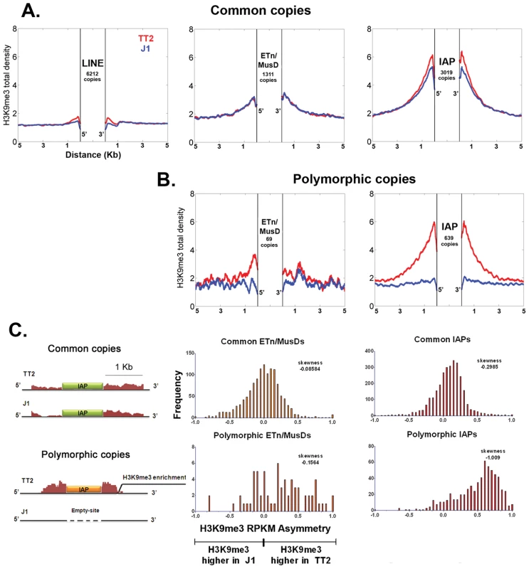 Detecting retrotransposon influence on H3K9me3 chromatin by comparison of common and insertionally polymorphic copies.