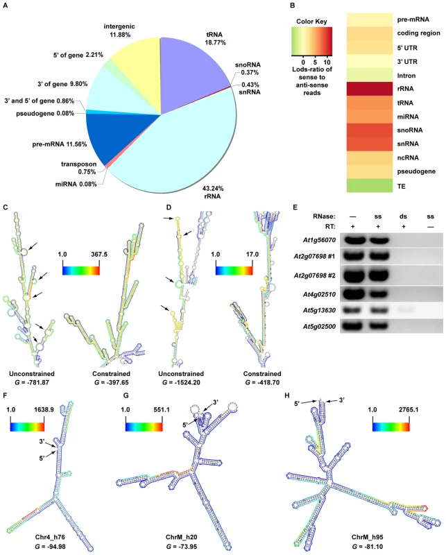 A sequencing-based approach to interrogate mRNA secondary structure genome-wide.