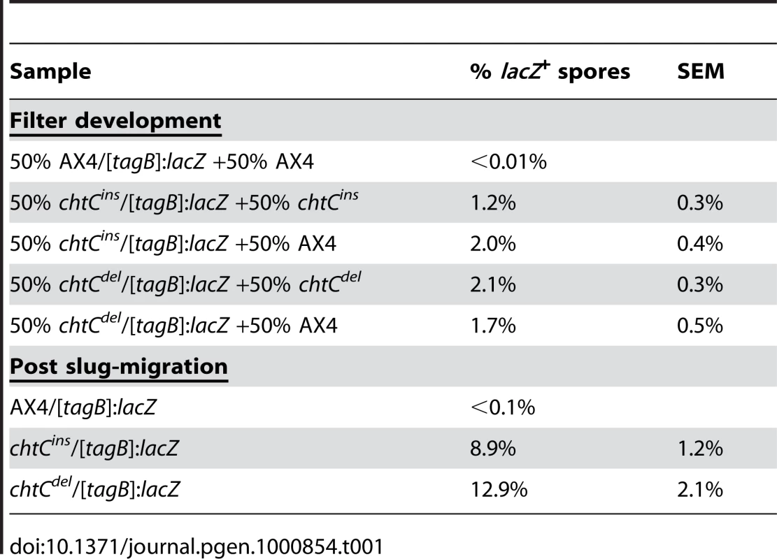 <i>chtC</i> spores have a prestalk history.