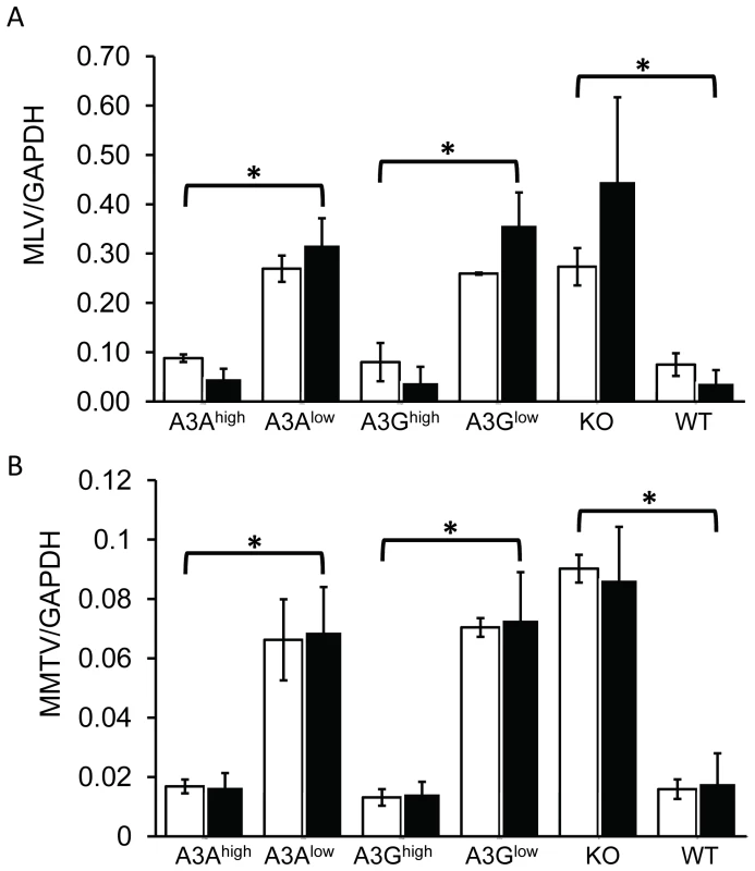 Expression of A3A and A3G in BMDCs restrict incoming murine retroviruses.