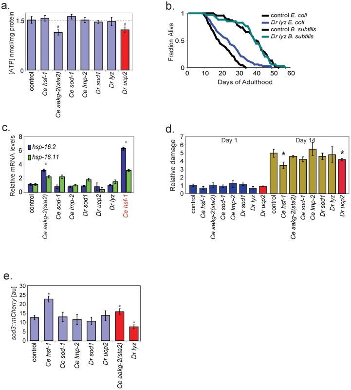 Assays showing functional activity of the aging genes.