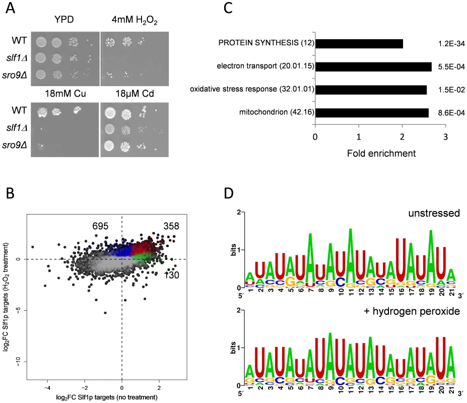 Slf1p and Sro9p are required for growth under oxidative stress conditions.