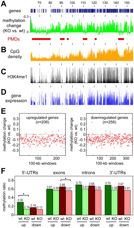 Characterization of Dnmt3a-protected domains.