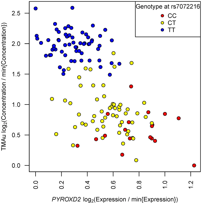 TMAu's mQTL effect may be mediated by variation in mRNA transcription at <i>PYROXD2</i>.