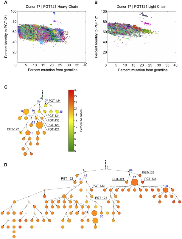 PGT121–123 variants identified by deep sequencing were used to build phylogenetic trees using ImmuniTree.
