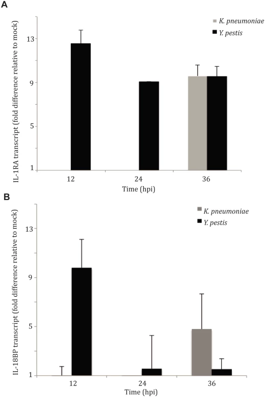 IL-1RA is induced in the lung early during pulmonary infection with <i>Y</i>. <i>pestis</i>, but not <i>K</i>. <i>pneumoniae</i>.