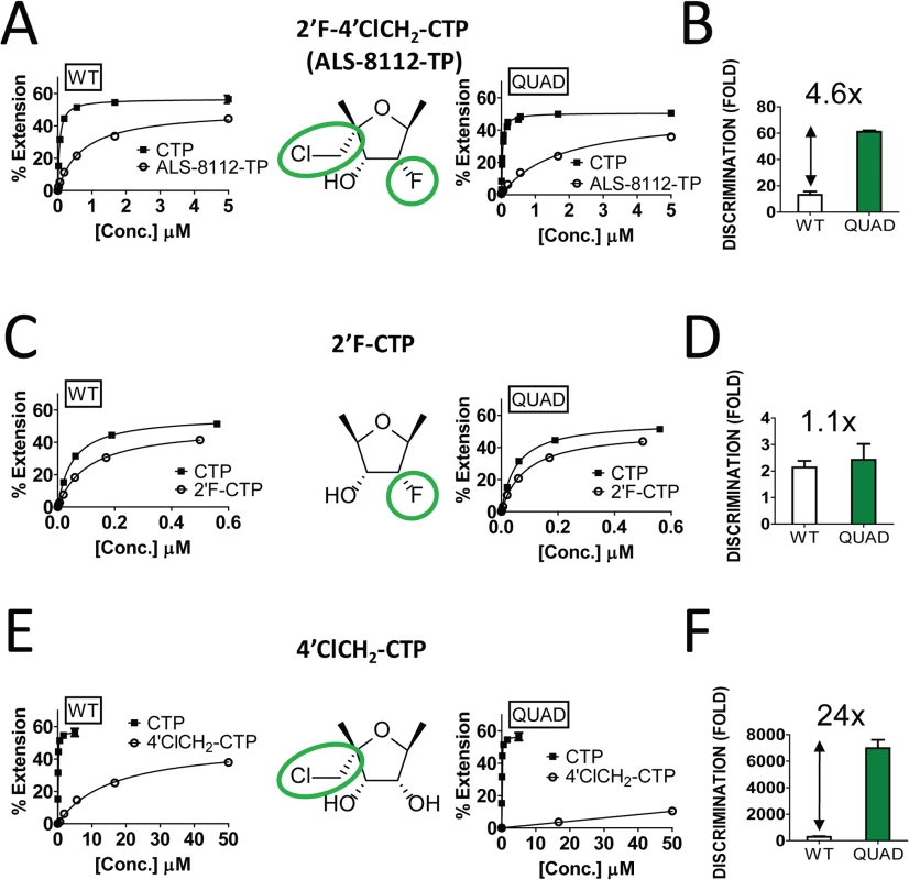 Contribution of the 4'ClCh<sub>2</sub> group to the QUAD-mutant resistance to ALS-8112-TP.