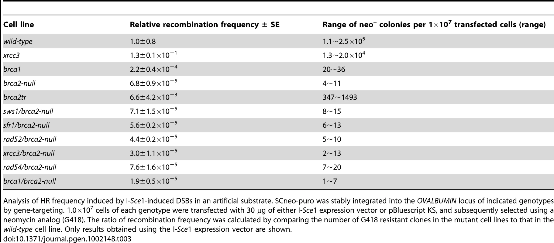 Double strand break-induced gene conversion frequency.