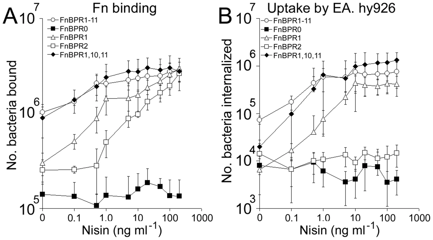Full-length FnBPA supports adhesion and invasion even at low surface density.