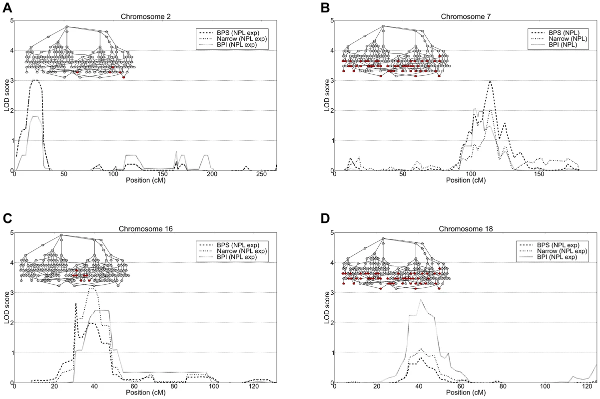 Top linkage results from non-parametric and parametric linkage analysis.
