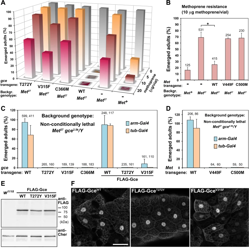 The capacity to bind JH is essential for Gce/Met function <i>in vivo</i>.