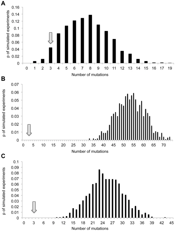 Actual number of observed mutations in 15 starved genomes is smaller than expected under a model of increased mutagenesis affecting the entire starved population.