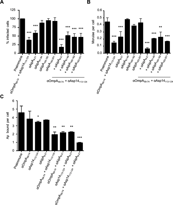 A combination of antisera targeting the binding domains of OmpA, Asp14, and AipA blocks <i>A</i>. <i>phagocytophilum</i> infection of mammalian host cells.