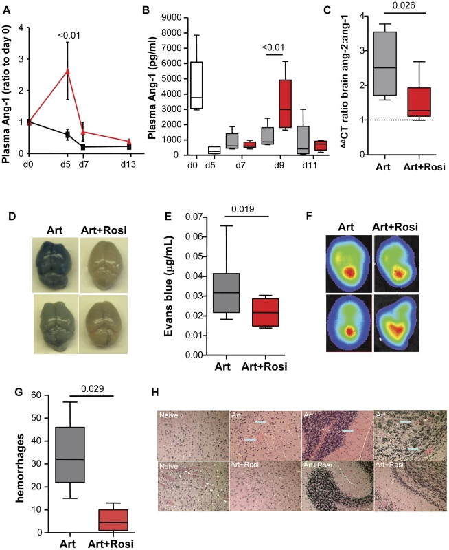 Rosiglitazone adjunctive therapy helps maintain peripheral angiopoietin-1 levels, and protects from blood brain barrier breakdown.