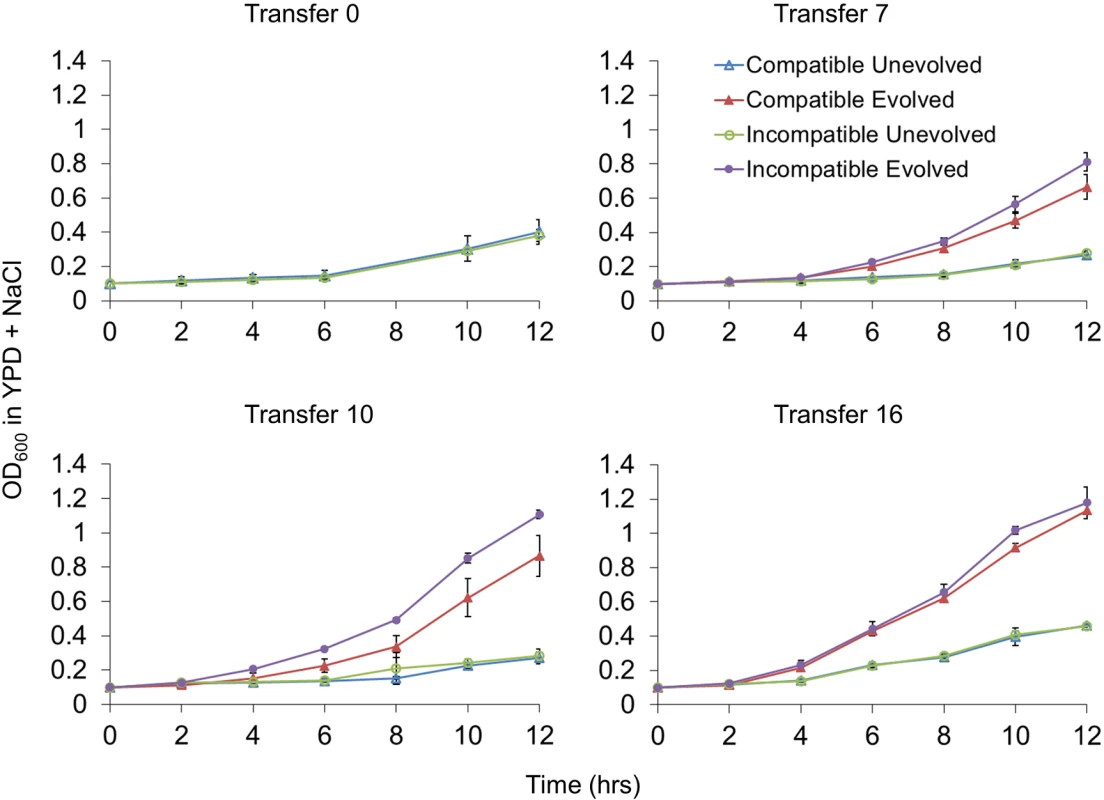 Incompatible strains display a fitness advantage in high salt media.