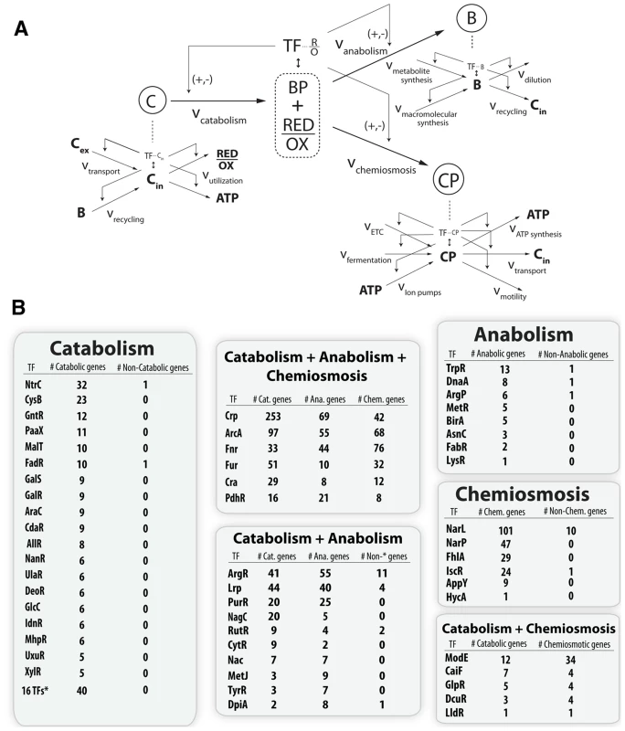 Topological organization of the joint metabolic-regulatory network.