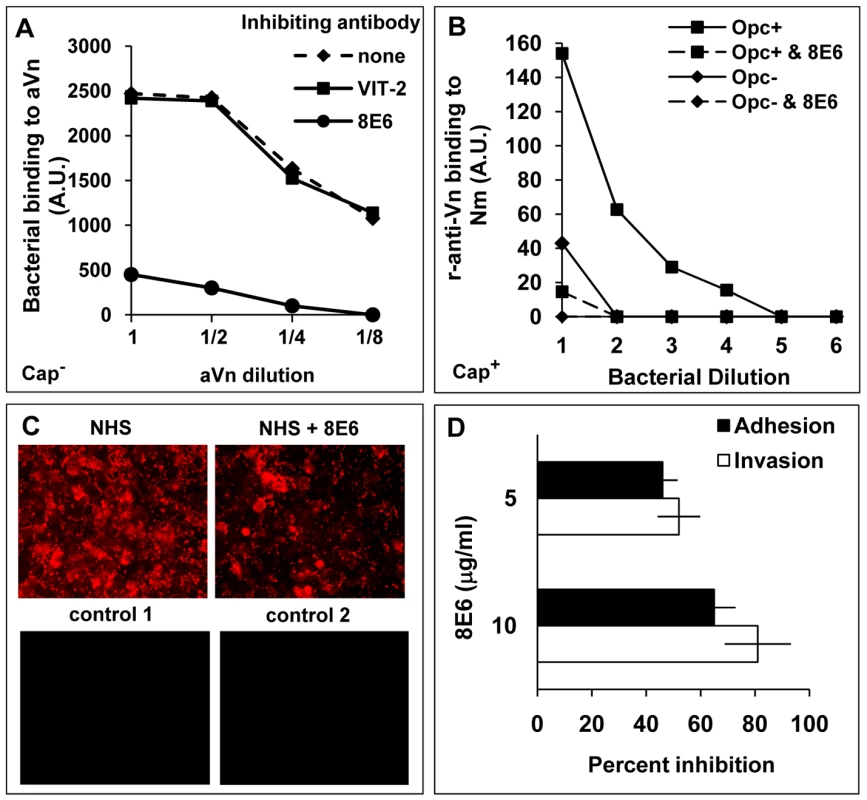 Monoclonal antibody 8E6 against a cryptic epitope of vitronectin inhibits Opc-mediated interactions of <i>N. meningitidis</i>.