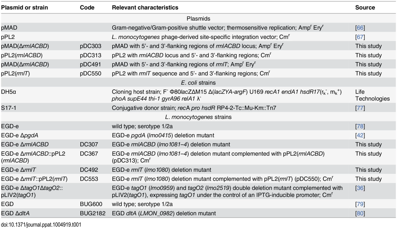 Plasmids and bacterial strains.