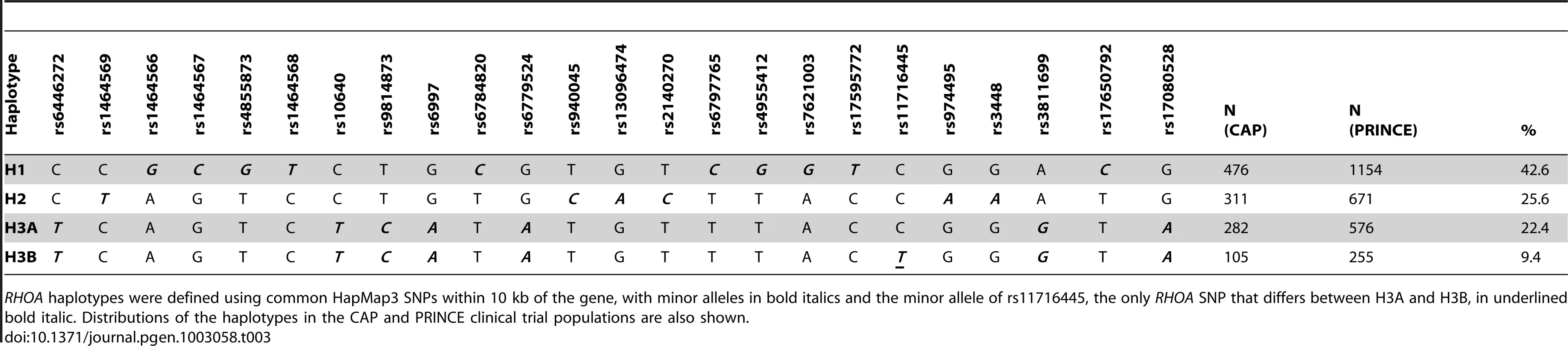 <i>RHOA</i> haplotype definition.
