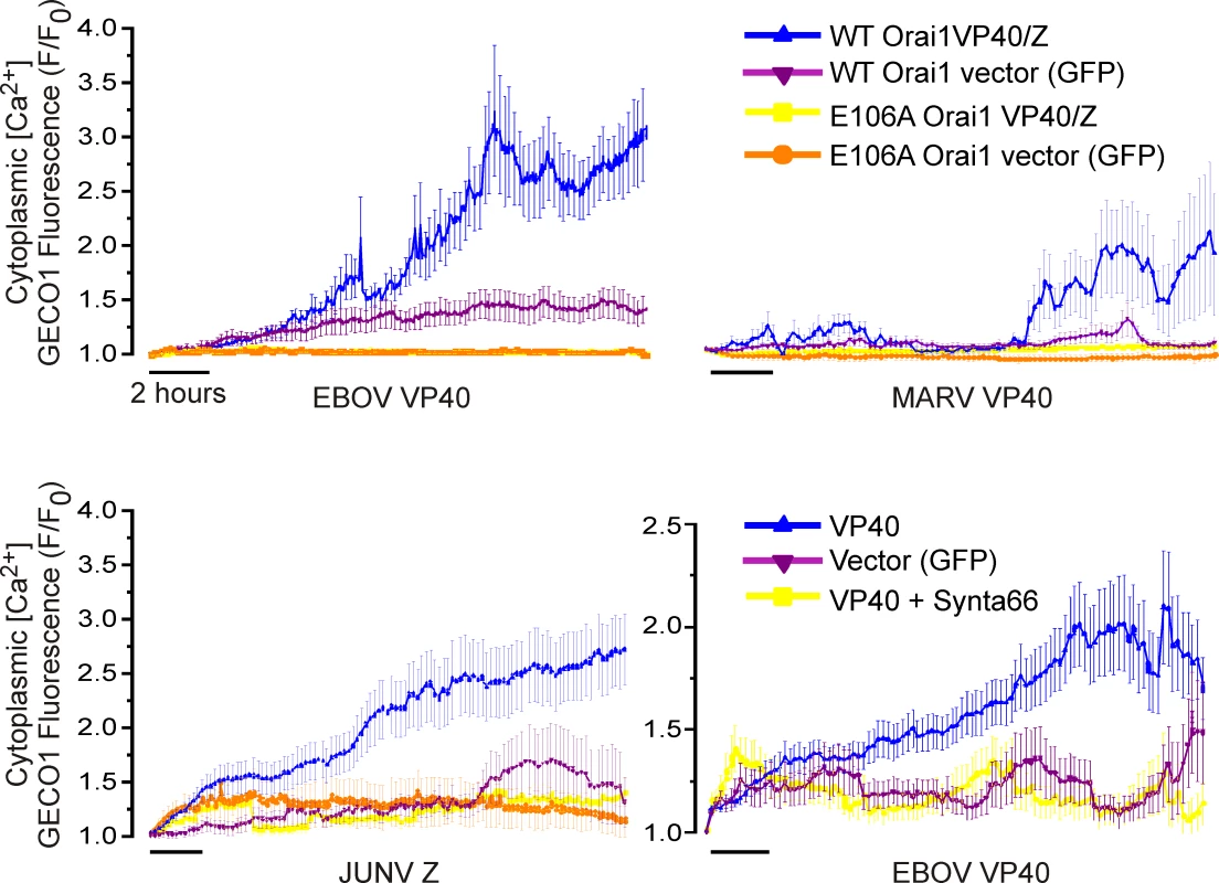 Viral matrix protein expression mobilizes cytoplasmic Ca<sup>2+</sup>.