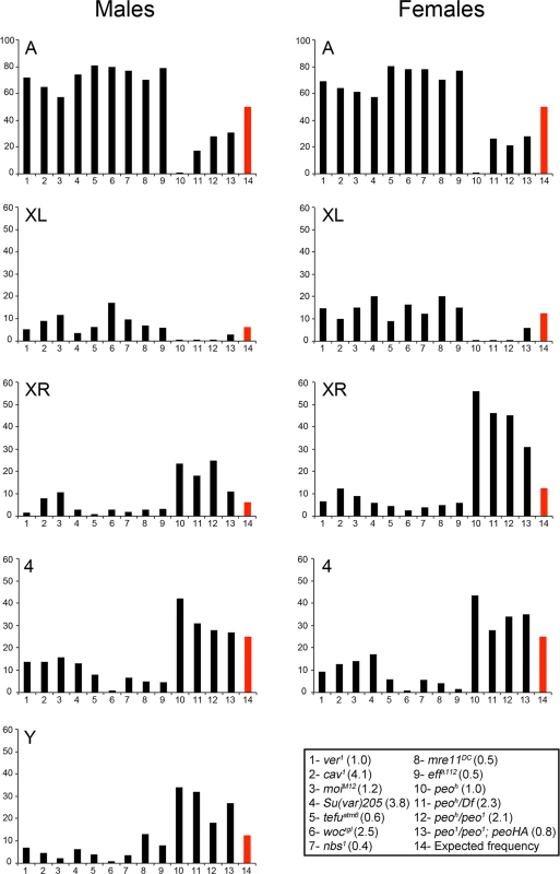 Involvement of individual telomeres in fusion events in different TF mutants.