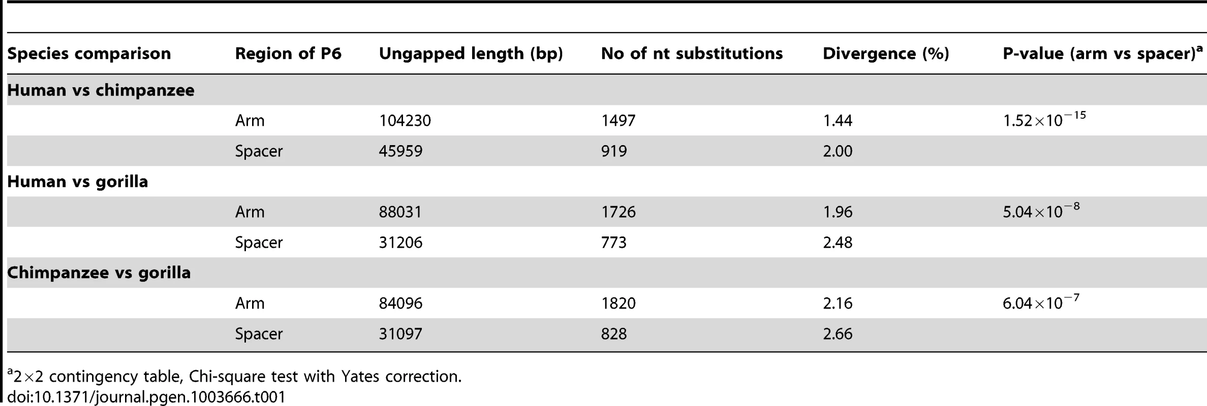 Inter-specific sequence divergence in arms and spacers of palindrome P6.