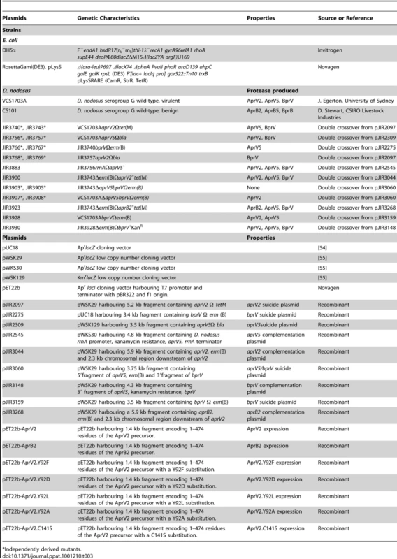 Bacterial strains and plasmids.