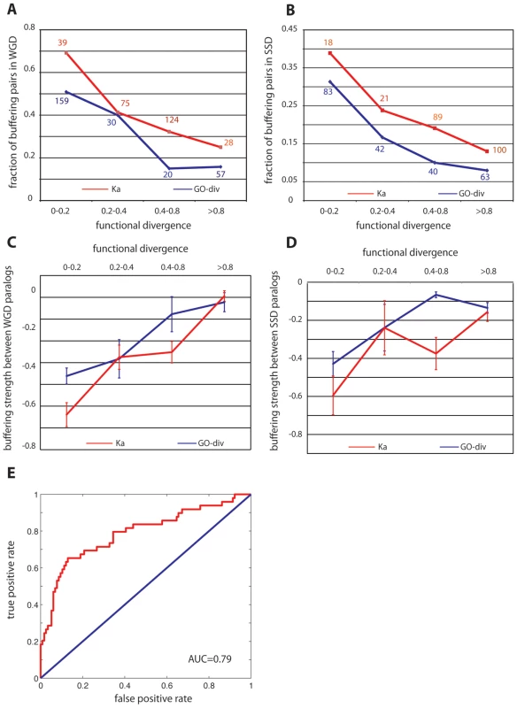 Genetic buffering between gene duplicates results from functional redundancy.