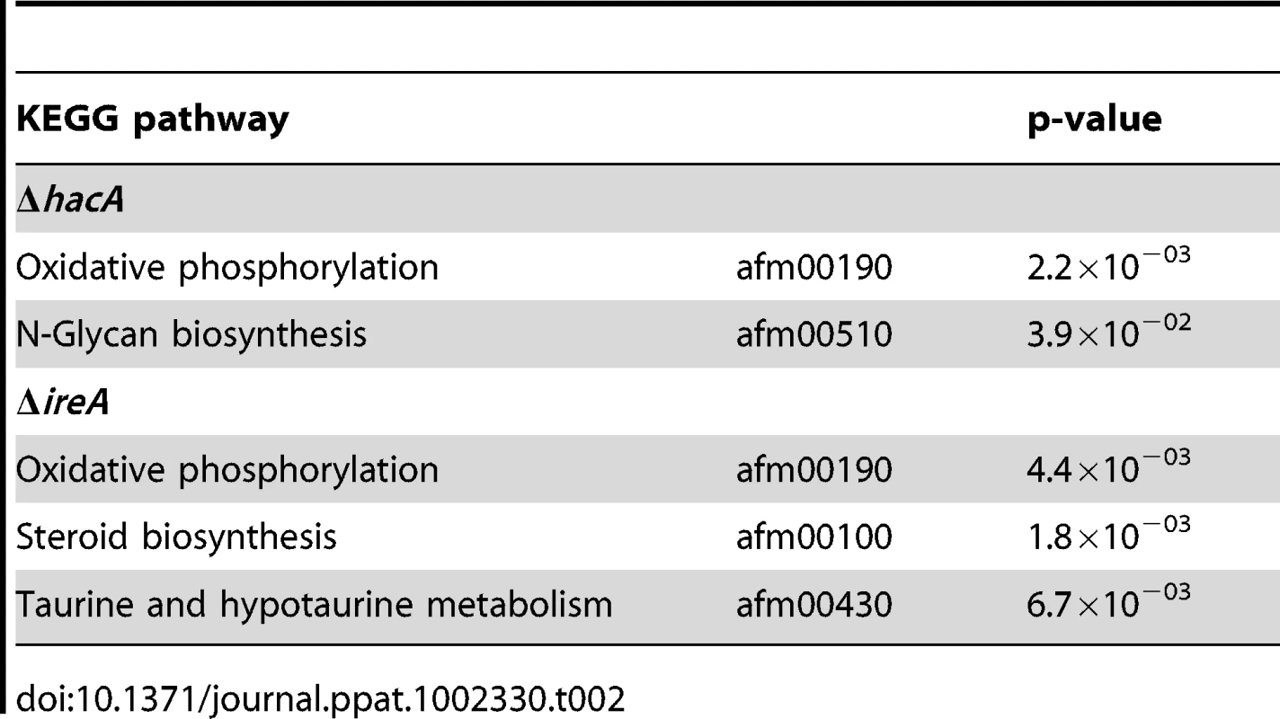 Over-represented KEGG pathways among genes that show decreased abundance in Δ<i>hacA</i> or Δ<i>ireA</i> under standard growth conditions.