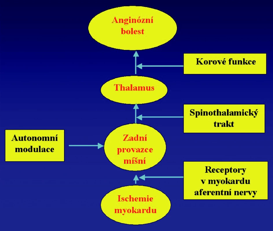 Schéma působení neurostimulátoru