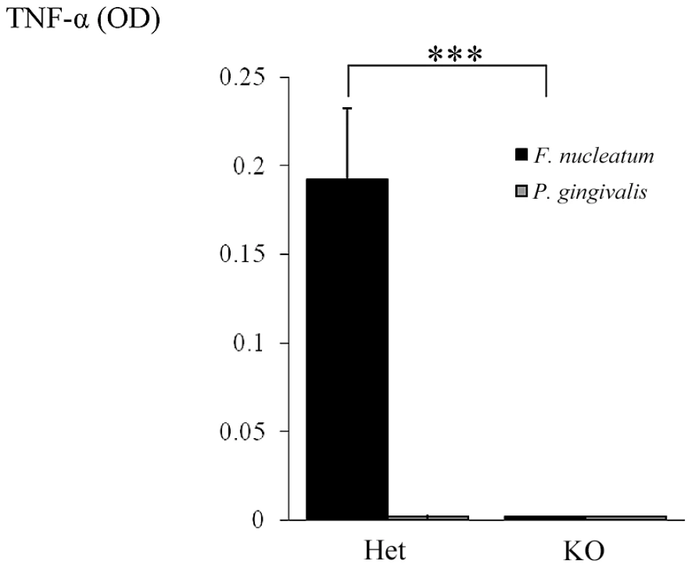 NCR1-dependent secretion of TNF-α following interaction with <i>F. nucleatum</i>.