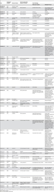 Candidate genes for <i>P{GT1}</i> insertions associated with increased life span.