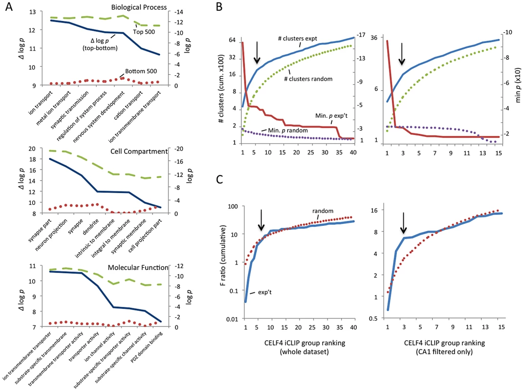 Functional annotation clustering of CELF4 mRNA targets and estimating CELF4 target binding threshold.