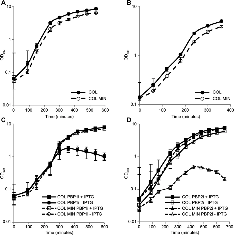 <i>S</i>. <i>aureus</i> minimal mutant strain COL MIN displays normal growth and requires PBP1 and PBP2 for survival.