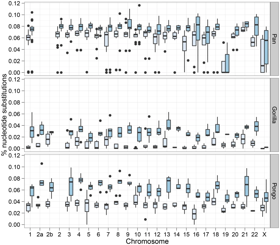 Chromosome wise split time estimates.