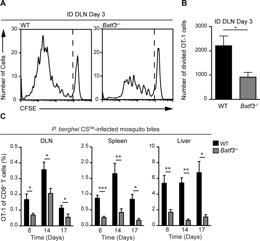 CD8α<sup>+</sup> DCs are necessary for the presentation of sporozoite antigens to CD8<sup>+</sup> T cells.