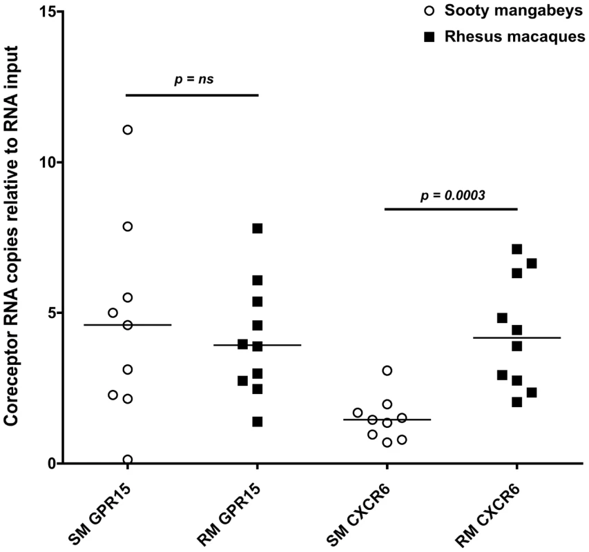 Alternative coreceptor expression in infants SMs and RMs.