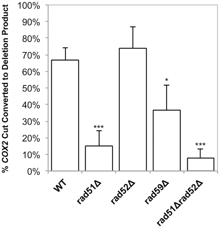 Conversion of DSBs to deletion product is impaired in HR mutants.