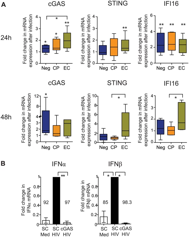 Induction of cytosolic DNA sensors in cDCs from EC.