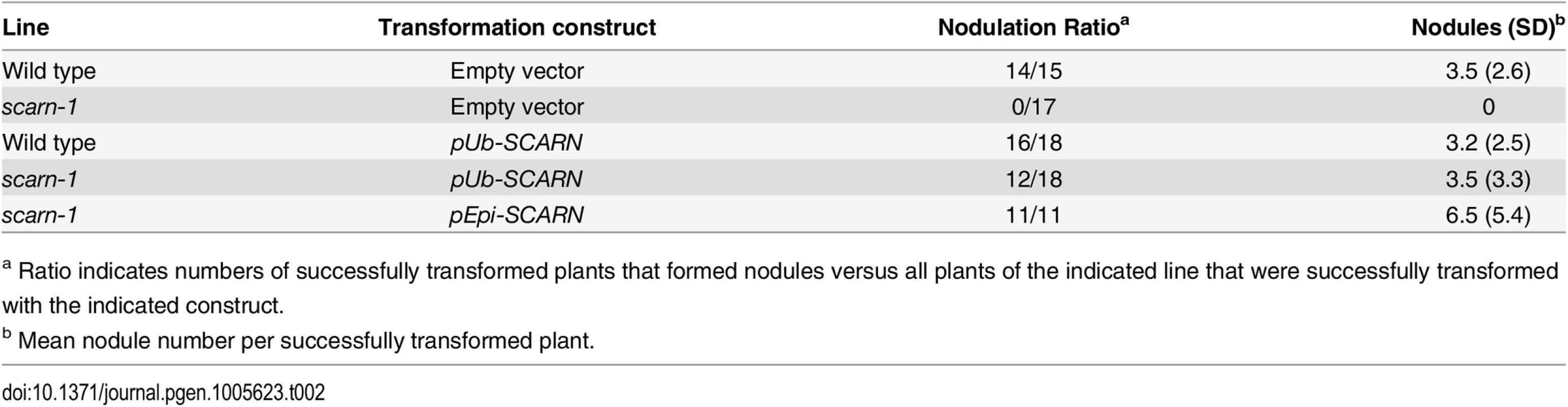 Complementation of <i>scarn-1</i> nodulation phenotype by hairy root transformation.