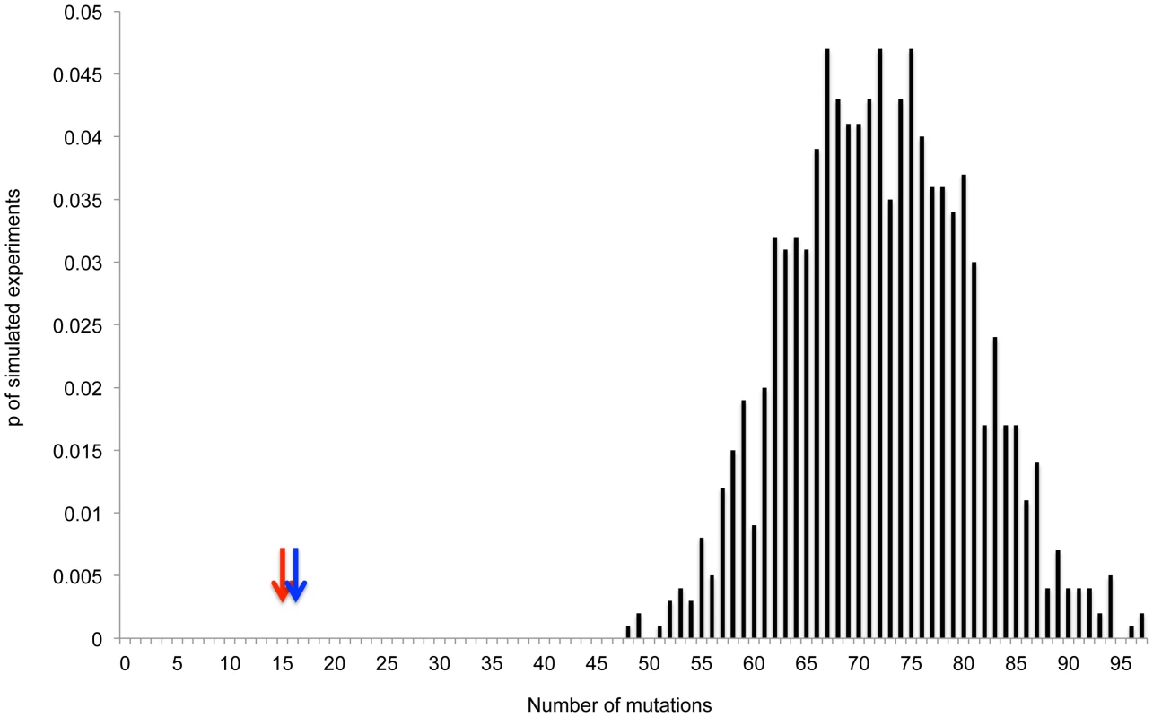 Actual number of observed mutations in rifampicin resistant and nalidixic acid resistant starved genomes is much smaller than expected within HMS (hypermutating cell subpopulation) cells.