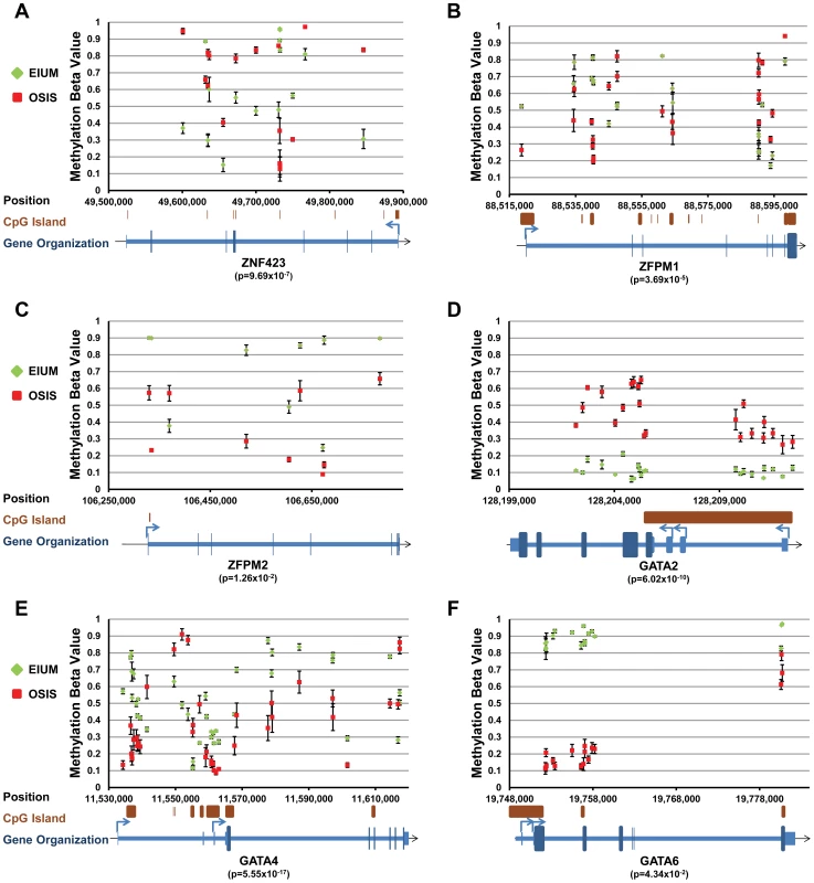 Key transcription factors with differential methylation (part 2).