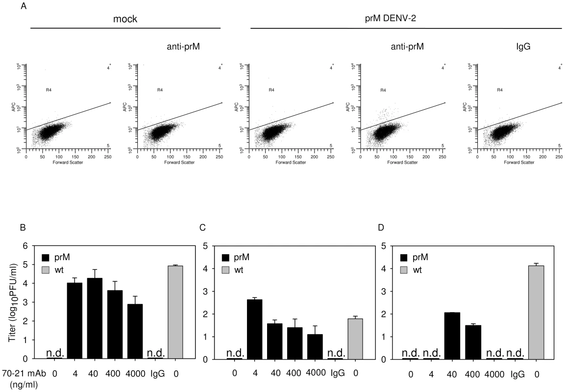 Immature DENV particles become highly infectious in the presence of anti-prM antibodies.