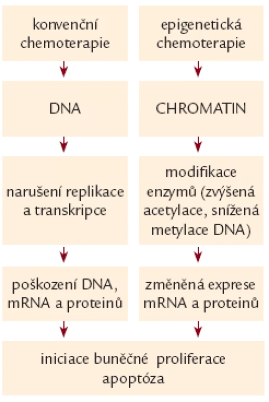Rozdíl v účinku konvenčních a epigenetických cytostatik.