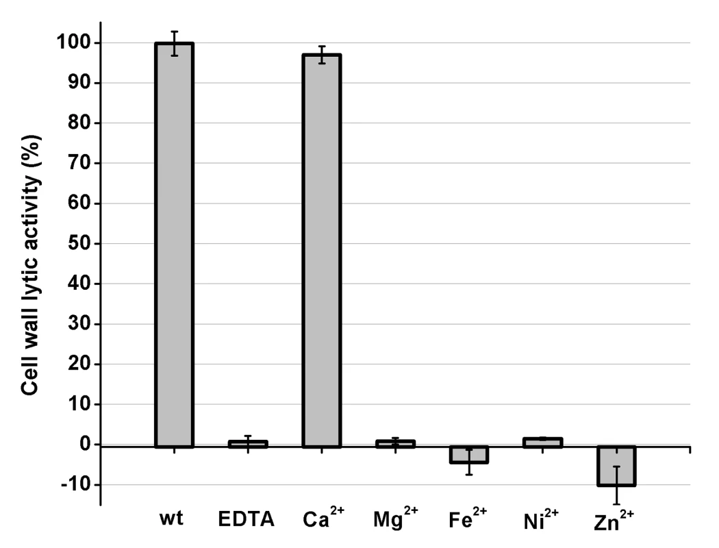 Cell wall lytic activity of the LysGH15 CHAP domain.