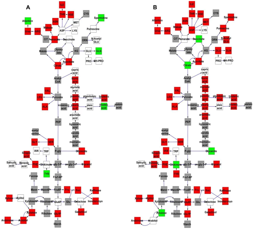 Comparative effect of cytoplasmic genomic variation on Metabolite average and CV.
