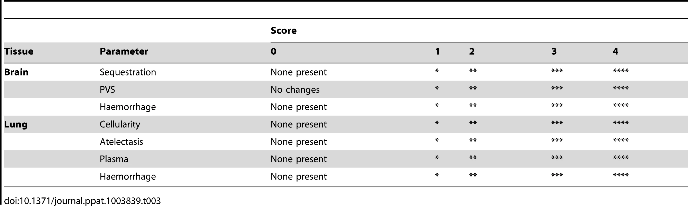 The qualitative histopathological scoring of the tissue.