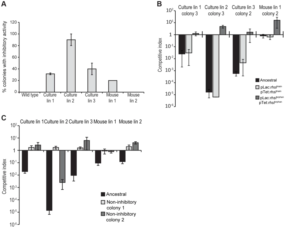 A subpopulation of evolved cells has growth inhibition activity.